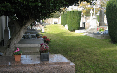 Binic : la continuité verte