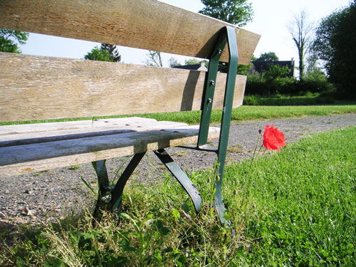 BANC-ET-COQUELICOT