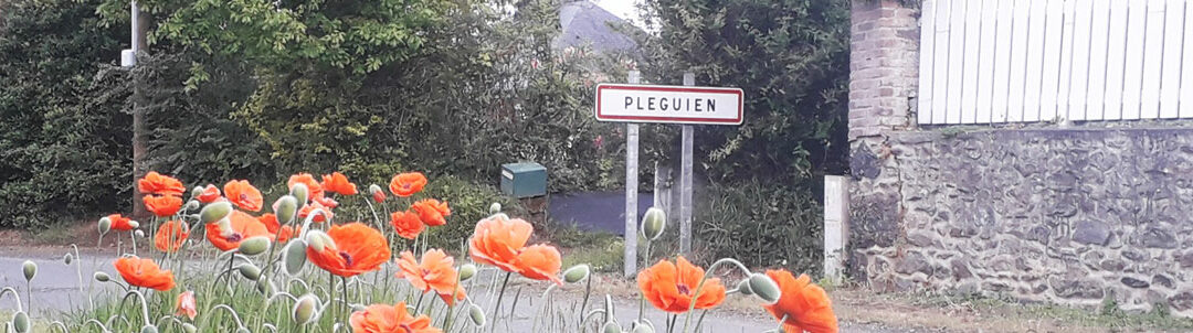 Commune de Pléguien