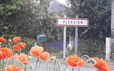 Commune de Pléguien