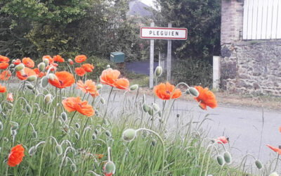 Pléguien, vers une gestion différenciée des espaces verts