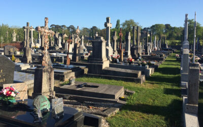 Végétalisation du cimetière à St-Aubin du Cormier