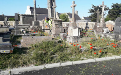 Le Conquet, un cimetière entre minéral et végétal