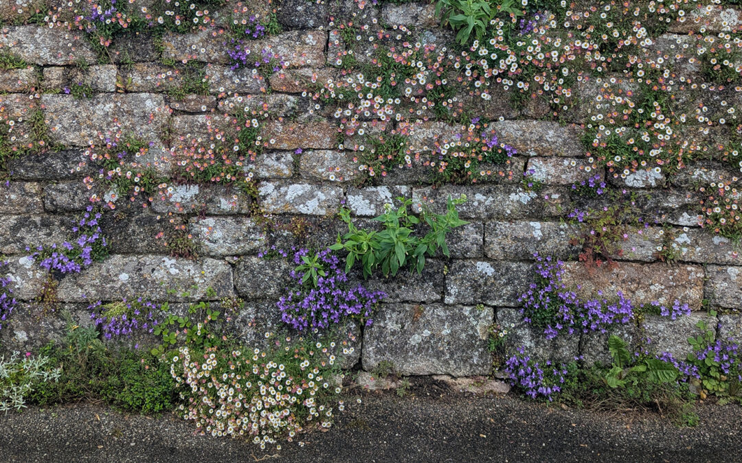 Elliant, des trottoirs fleuris
