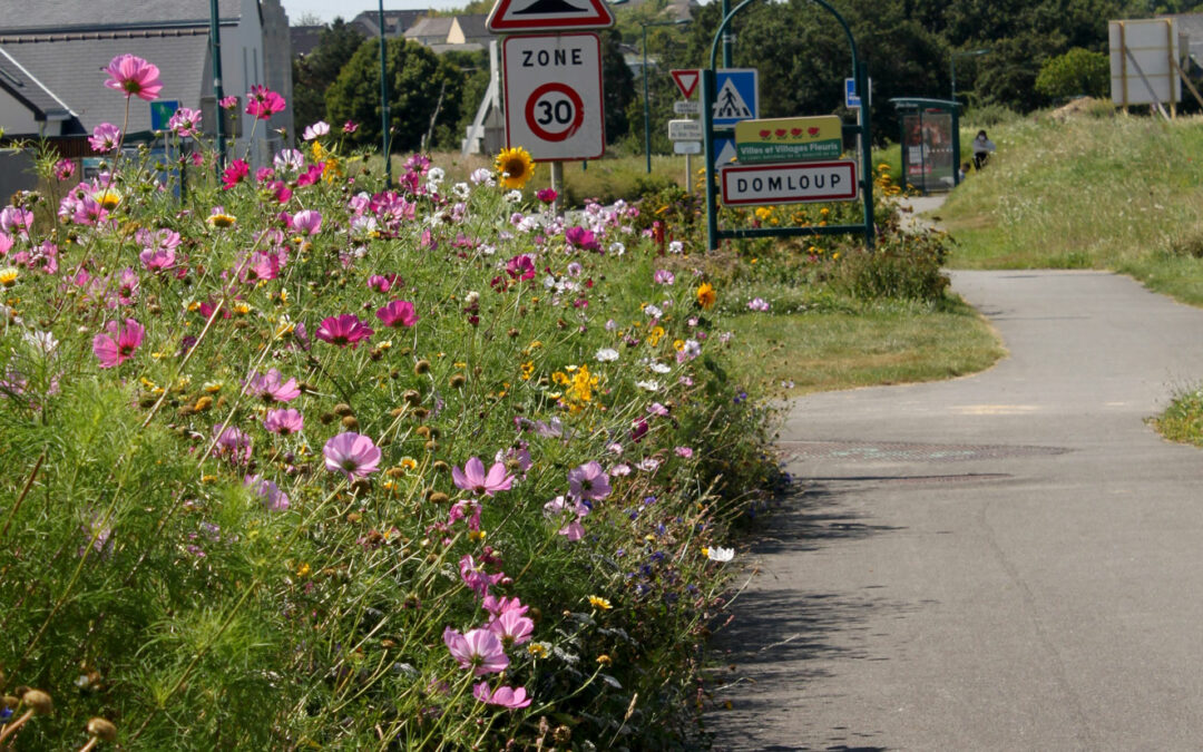 Domloup, transformation du fleurissement
