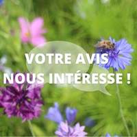 Votre avis nous intéresse !