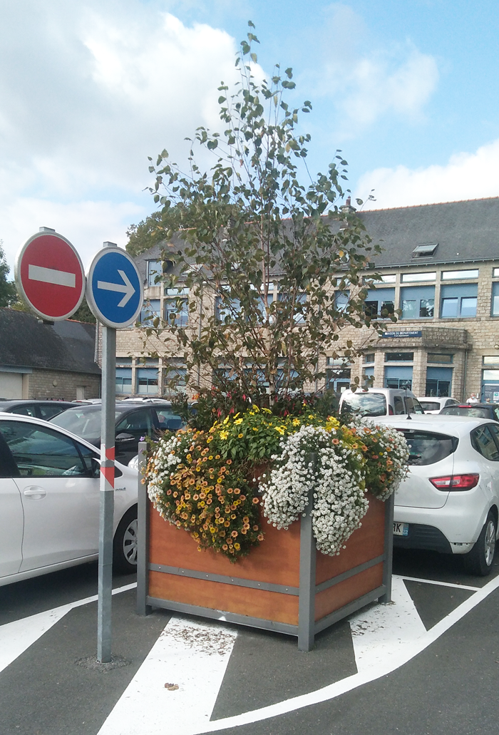 1.ROSTRENEN-ARBRE