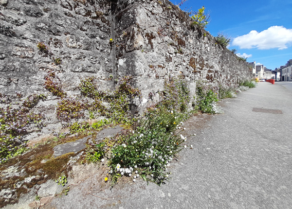 1.ROSTRENEN-MUR