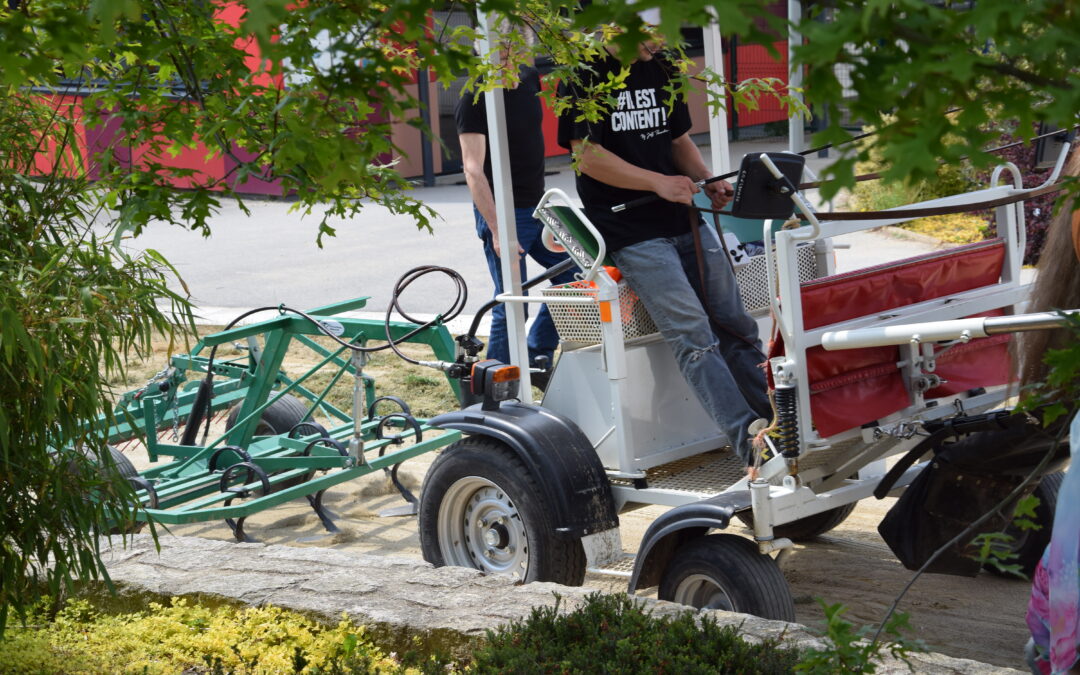 Questembert, désherbage hippomobile