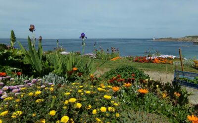 Le Conquet, un fleurissement vivace