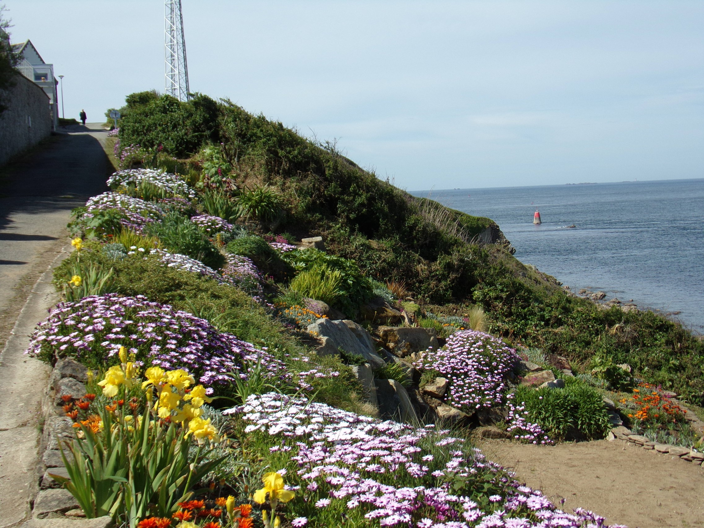 Image1