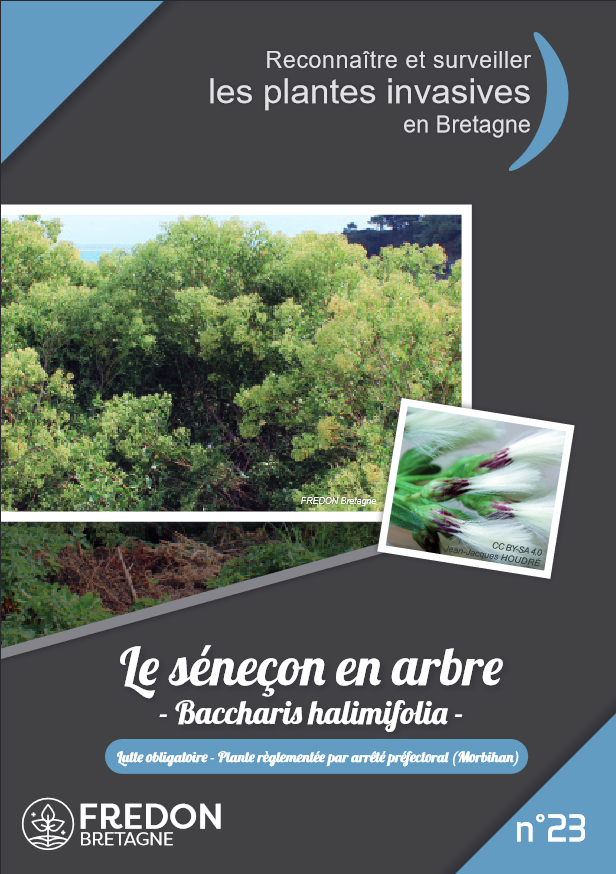 Sitemapcdatahttpsshopinf Inetcomplante Ressemblant Au Senecon