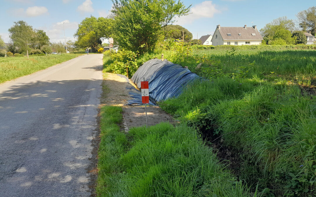 Ploemeur, un travail avec l’ensemble des acteurs du territoire sur les EEE