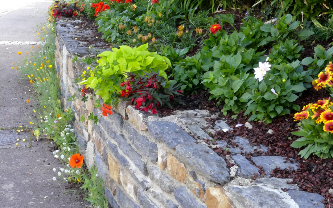 Missiriac, des pieds de mur fleuris