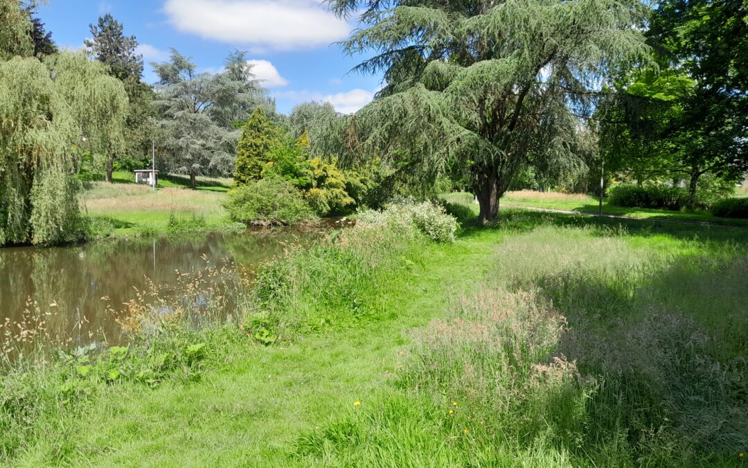 Refuges de biodiversité à Fougères