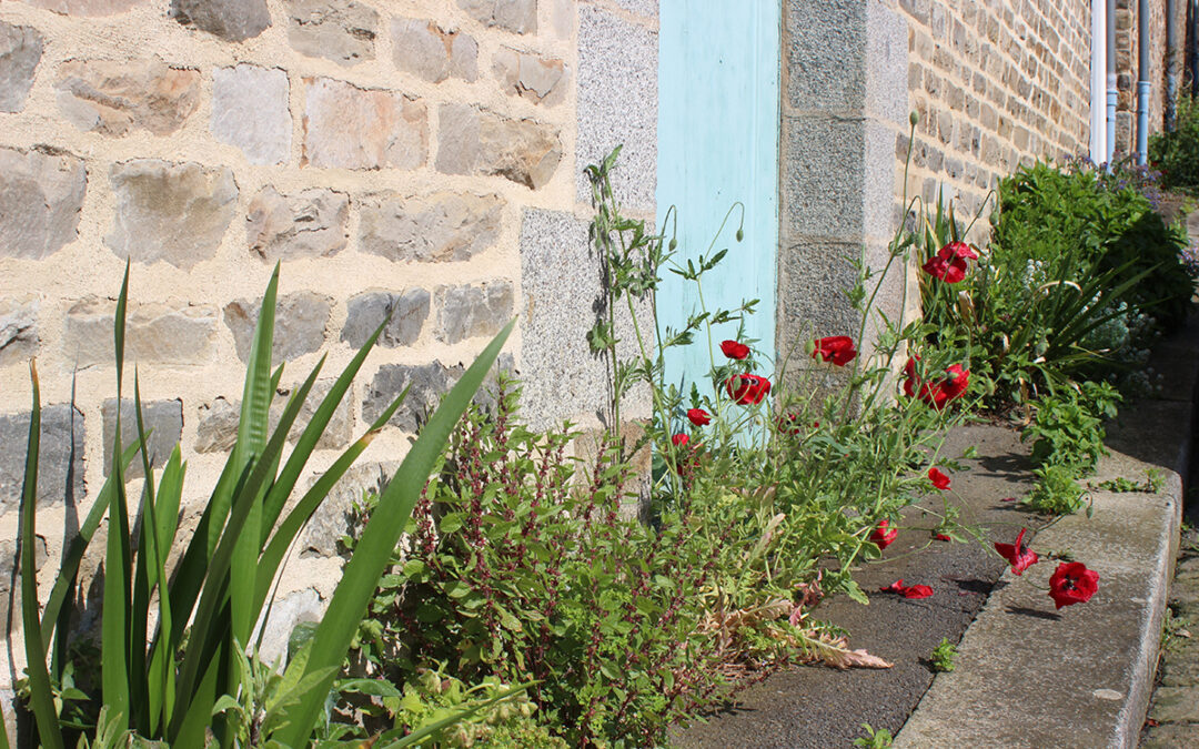 Saint-Aubin-du-Cormier : fleurissement de pieds de murs en centre-ville