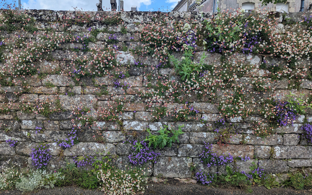 Elliant, des trottoirs fleuris