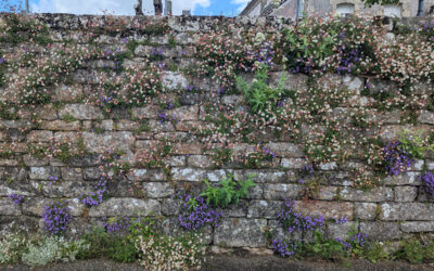 Elliant, des trottoirs fleuris