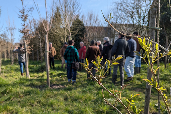 soutenir-reseau-dephy-collectivites-bretagne