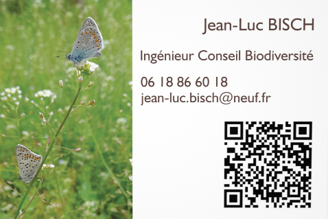 Carte_visite_JLBisch