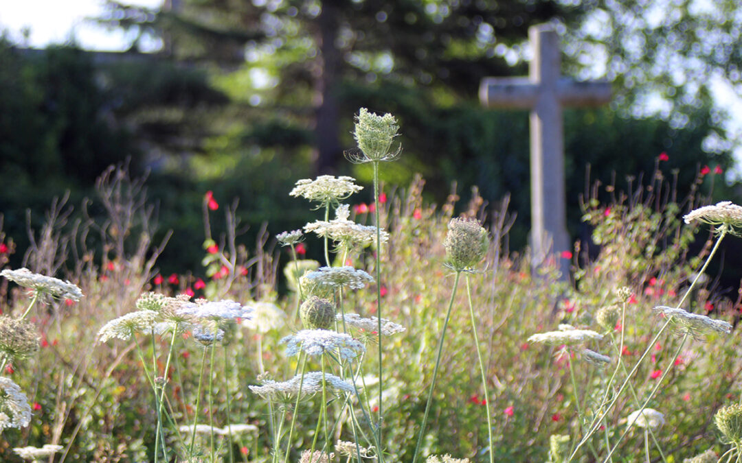 Réaménagement et extension du cimetière à Plerguer