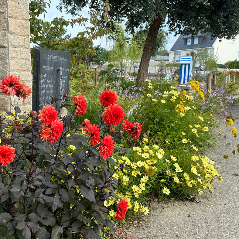 liste-plantes-1