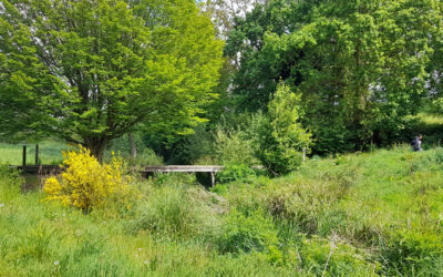 Guingamp Paimpol Agglomération, le Kergré retrouve la lumière dans la vallée de Cadolan