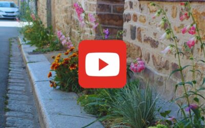 VIDEO : Fleurissement de pieds de murs à Saint-Aubin-du-Cormier