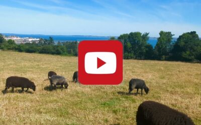 PAROLE D’EXPERT : Rozenn LHERMITTE, Ville de Douarnenez