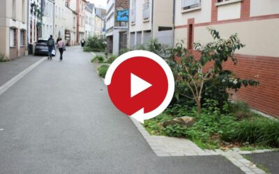 REPLAY Webinaire : Adaptation des espaces verts au changement climatique