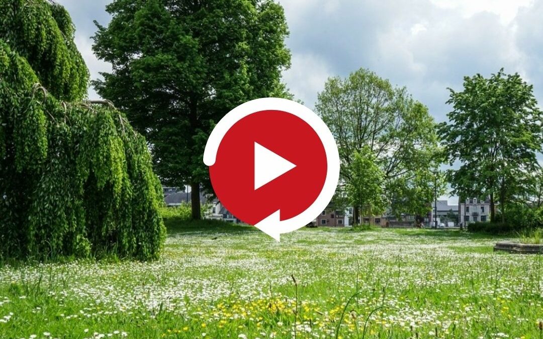 REPLAY Webinaire : Comment adapter ses pratiques pour une gestion plus écologique des espaces publics ?