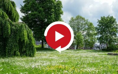 REPLAY Webinaire : Comment adapter ses pratiques pour une gestion plus écologique des espaces publics ?