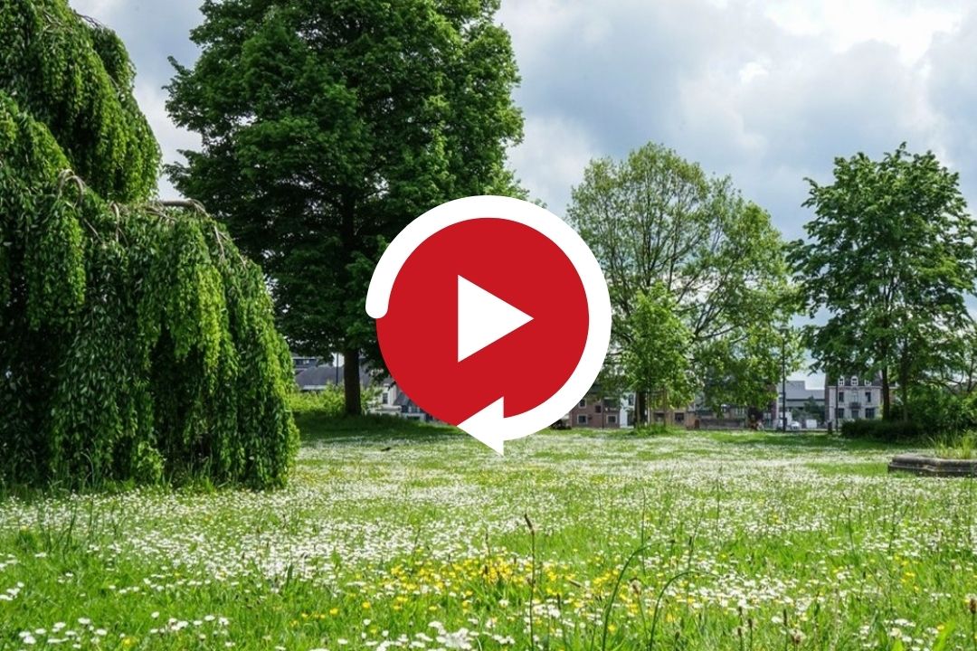 Dephy REPLAY Webinaire : Comment adapter ses pratiques pour une gestion plus ...
