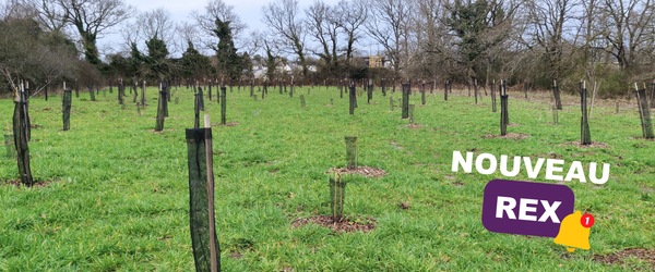 NEWSLETTER 44 - REX PONT PEAN