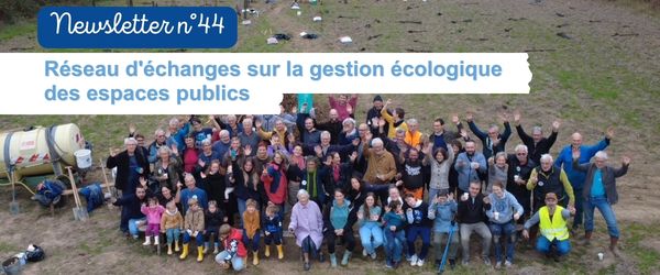 NEWSLETTER 44