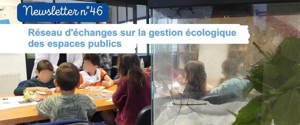 NEWSLETTER 46 (2)