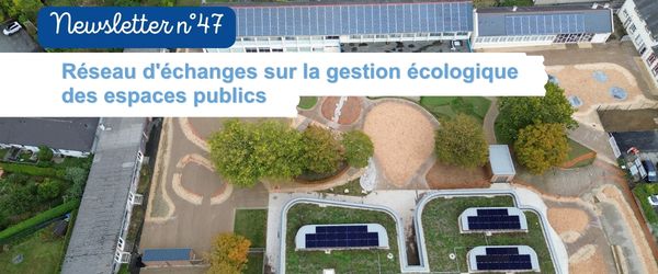 NEWSLETTER 47