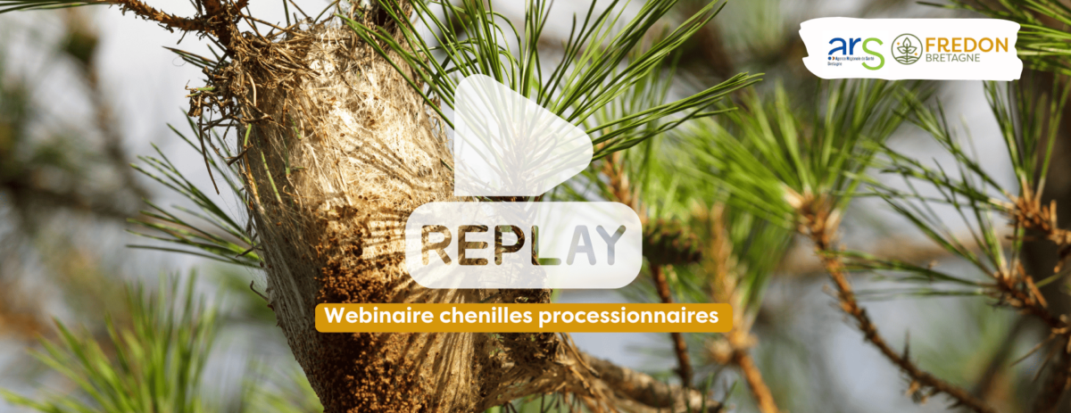 https://fredon-bretagne.com/replay-webinaire-chenilles-processionnaires/